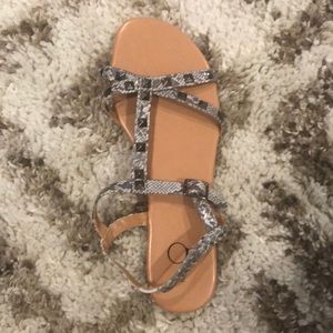Sandals snake print